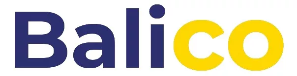 فروشگاه اینترنتی بالیکو