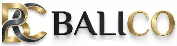 فروشگاه اینترنتی بالیکو