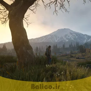 بازی DAYS GONE مخصوص PS4 (کارکرده)